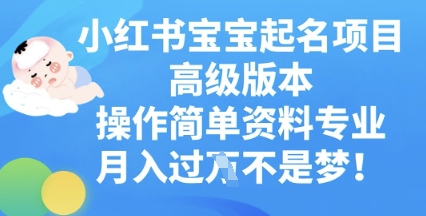 小红书宝宝起名项目高级版本，操作简单，资料专业，月入过W-Ai数字电商