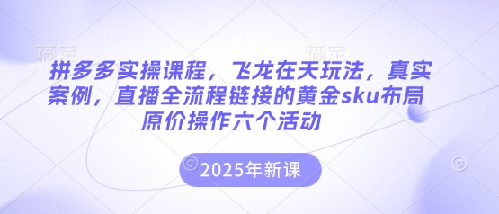 拼多多实操课程,飞龙在天玩法,真实案例,直播全流程链接的黄金sku布局原价操作六个活动-Ai数字电商