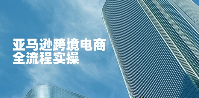 （14252期）亚马逊跨境电商全流程实操，教你从零开始，掌握店铺运营与广告技巧-Ai数字电商