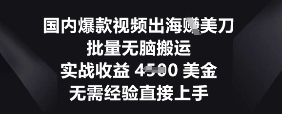 国内爆款视频出海挣美刀，批量无脑搬运，实战收益4.5k，无需经验直接上手-Ai数字电商