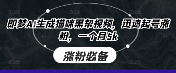 即梦AI生成猫咪黑帮视频，迅速起号涨粉，一个月5k-Ai数字电商