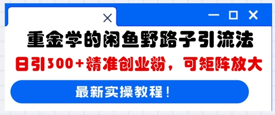 重金学的闲鱼野路子引流法,日引300+精准创业粉,可矩阵放大-Ai数字电商