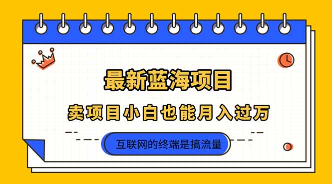 (14289期)2025年最新蓝海项目,卖项目小白也能月入过万-Ai数字电商