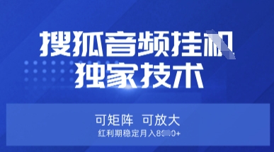 【搜狐音频挂G】独家技术，可矩阵可放大，红利期稳定月入8k【揭秘】-Ai数字电商