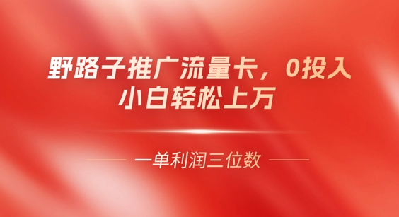 0门槛推广流量卡，一单收益上百，0投入，小白月入过W-Ai数字电商