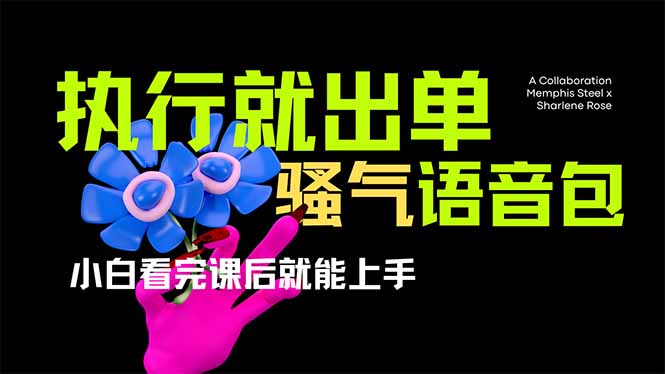 (14170期)爆火全网的开车导航骚气语音包,只要执行就出单,小白看完课程就能实操...-Ai数字电商