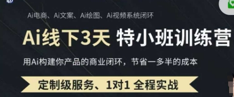 AI实操培训第20-21期线下，0基础保姆级教程，3月最新整理，企业获客、降本增效、打造超级个体-Ai数字电商