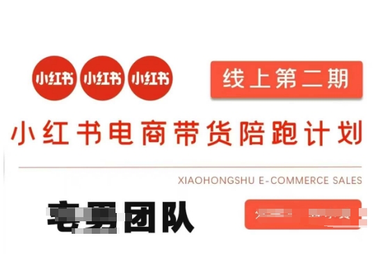 小红书电商带货课2期，月利润20个的小红书电商的有货源，无货源，虚拟产品，付费投流等整套玩法-Ai数字电商