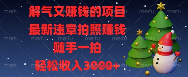 解气又挣钱的项目,最新违章拍照挣钱,随手一拍,轻松收入数张【揭秘】-Ai数字电商